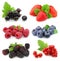 Collection of sweet berries