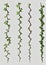 Collection Of Thorny Vines Isolated On A White Background. Generative AI