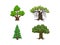 collection of trees with cartoon styled images