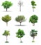 Collection trees on white background