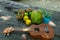 Collection of tropical fruits and ukulele - Coconut, Mango, Yuca