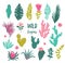 Collection of tropical plants, cactuses, succulents, flowers.