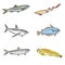 A Collection of Underwater Sea and Freshwater Fish Sharks and Eels Cartoon Illustration Clipart in Vector Form Logos