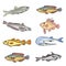A Collection of Underwater Sea and Freshwater Fish Sharks and Eels Cartoon Illustration Clipart in Vector Form Logos
