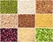 Collection of a variety of grains and legumes, collage. Assorted different cereals. Top view, square