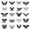 Collection of various black butterflies - vector design
