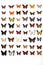 collection of various butterfly species on a white background