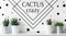 Collection of various cactus and succulent plants in different pots. Potted cactus house plants on white shelf.