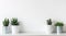 Collection of various cactus and succulent plants in different pots. Potted cactus house plants on white shelf.