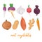 Collection of various hand drawn, colorful root vegetables, isolated on a white background.