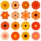 Collection Various Orange Concentric Flowers Isolated on White