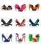 Collection - various types of female shoes