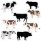 Collection of the various vector of cows