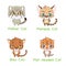 Collection of various wild cat species