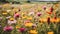 The collection of various wildflowers, creating a natural and diverse display