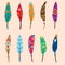 Collection of vector colored feathers