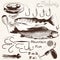 Collection of vector hand drawn fishes and hooks for fishing sea