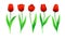 Collection Of Vector Red Tulips With Stem And Green Leaves. Set Of Different Spring Flowers. Isolated Tulip Cliparts
