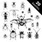Collection of vector set beetles and exotic beetles. Insects such as goliath beetle, frog legs, ladybug, colorado potato