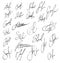 Collection of vector signatures fictitious Autograph.