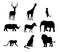 Collection of vector silhouette of african wild animal. Symbol of nature and safari. Set with elephant, giraffe