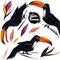 Collection of vector tropical toucan birds