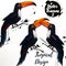Collection of vector tropical toucan birds on white background.