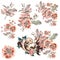Collection of vector watercolor cosmos flowers in vintage style