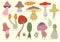 Collection of Vector whimsical live mushrooms