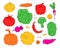 Collection of vegetable illustrations. Bundle of fresh delicious vegan diet vegetarian products. Graphics and color. Vector food