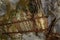 Collection of very old coffins in Londa.Tana Toraja, South Sulawesi, Indonesia