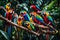 A collection of vibrant parrots in a tropical rainforest