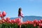 collection of videos and photos where a girl in a white skirt walks through field with tulips blue background sky