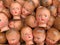 A collection of vintage doll faces