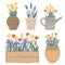 Collection of vintage pots, watering can and box with Spring flowers. Tulips, hyacinths, muscari, daffodils. Doodle hand