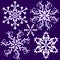 Collection vintage snowflake (vector)