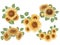 A collection of vintage style watercolor sunflower graphic illustrations on white background