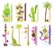Collection of wall meters with different images. Stickers for measuring height kids. Funny vector cartoon illustrations