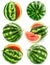 Collection of water melon fruits isolated