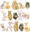 Collection of watercolor cute animals bunnies, foxes, owls, bears and dogs