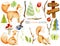 Collection of watercolor cute foxes, forest plants and elements