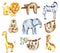 Collection of watercolor exotic african animals lion, elephant, sloths, giraffes, zebra