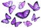 Collection watercolor of flying purple butterflies.