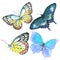 Collection of watercolor images of beautiful butterflies.