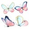 Collection of watercolor images of beautiful butterflies.