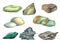 A collection of watercolor images of sea stones.