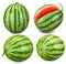 Collection Watermelon isolated with clipping path