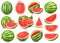 Collection Watermelon isolated on white background