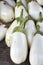 A collection of white eggplant at a farm stand in New Jersey.