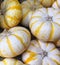 A collection of White and Yellow Mini Pumpkins